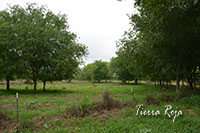 Photo #2 of 5 +/- Acres located in the 1300 Block of West Tilden St, Cotulla, TX