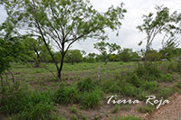 Photo #4 of 5 +/- Acres located in the 1300 Block of West Tilden St, Cotulla, TX