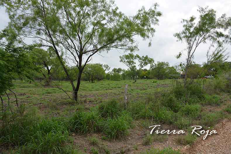Photo #1 of 5 +/- Acres located in the 1300 Block of West Tilden St, Cotulla, TX