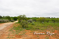 Photo #6 of 5 +/- Acres located in the 1300 Block of West Tilden St, Cotulla, TX